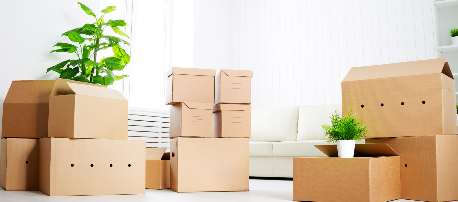 Packers & Movers in Guntur
